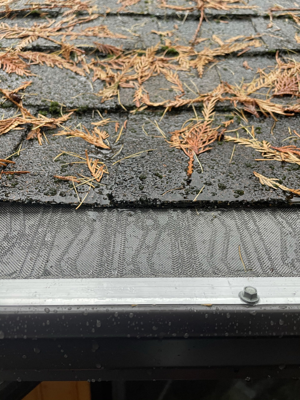 Leaf guard and gutter cover installed on seamless gutters